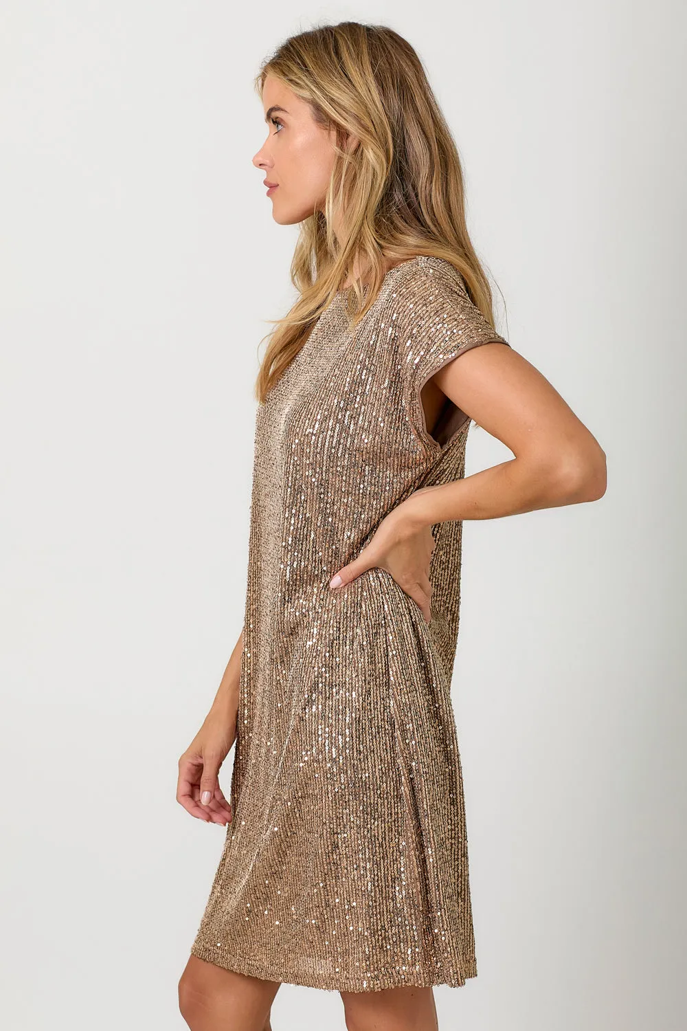 Boat Neck Sequins Shift Dress