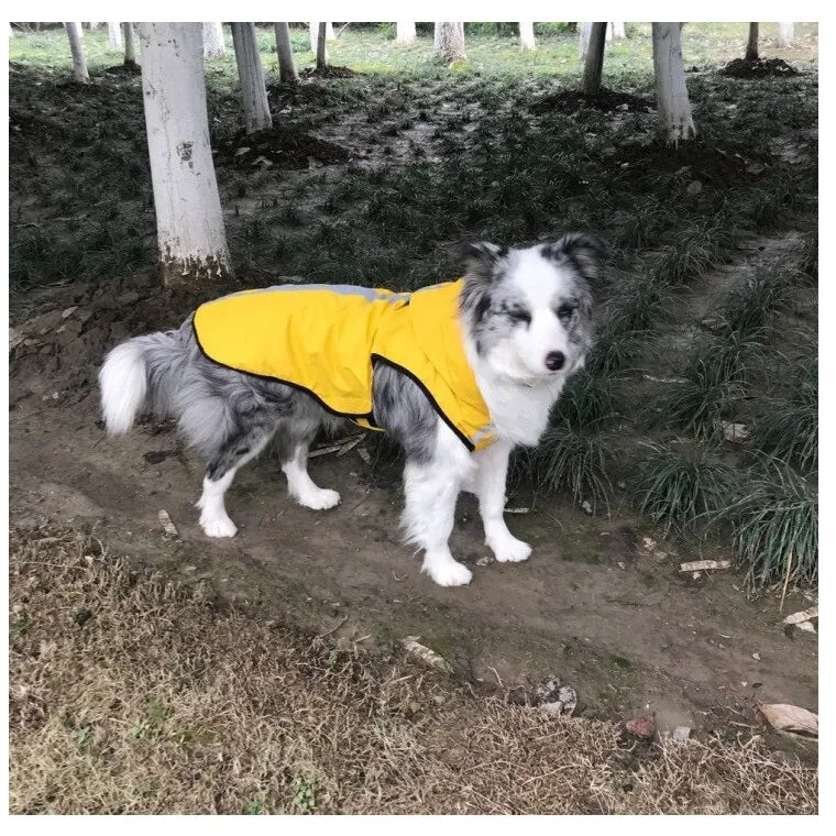 Dog Raincoat with Hood and Leash Hole Waterproof