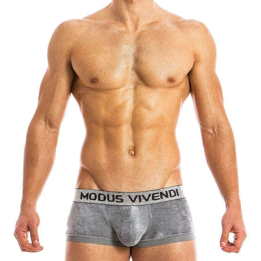 Medium Boxer Brief Modus Vivendi X-Lux Velvet Micro modal Luxury Grey 19821 B47