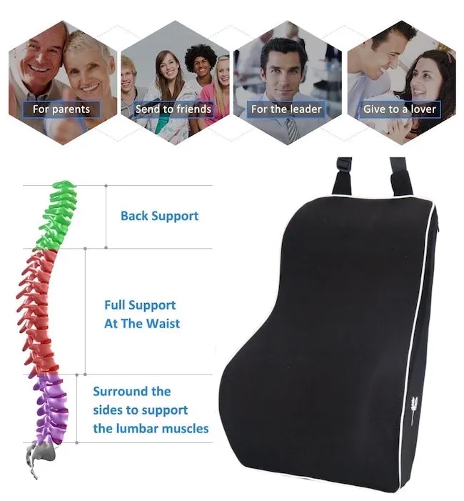 SitRight Pro Large Full Lumbar Back Support with upper belt suitable for car