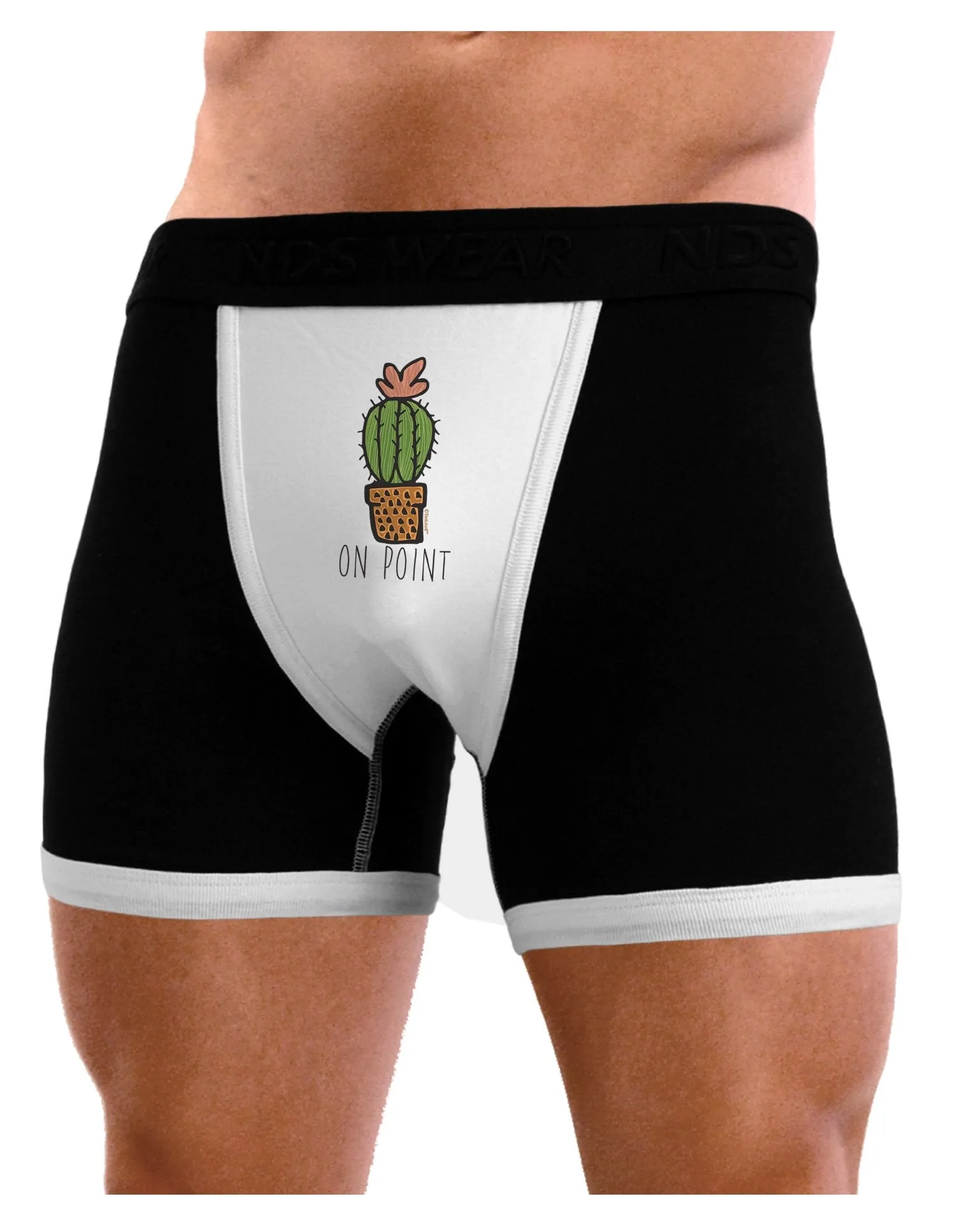 TooLoud On Point Cactus Mens Boxer Brief Underwear