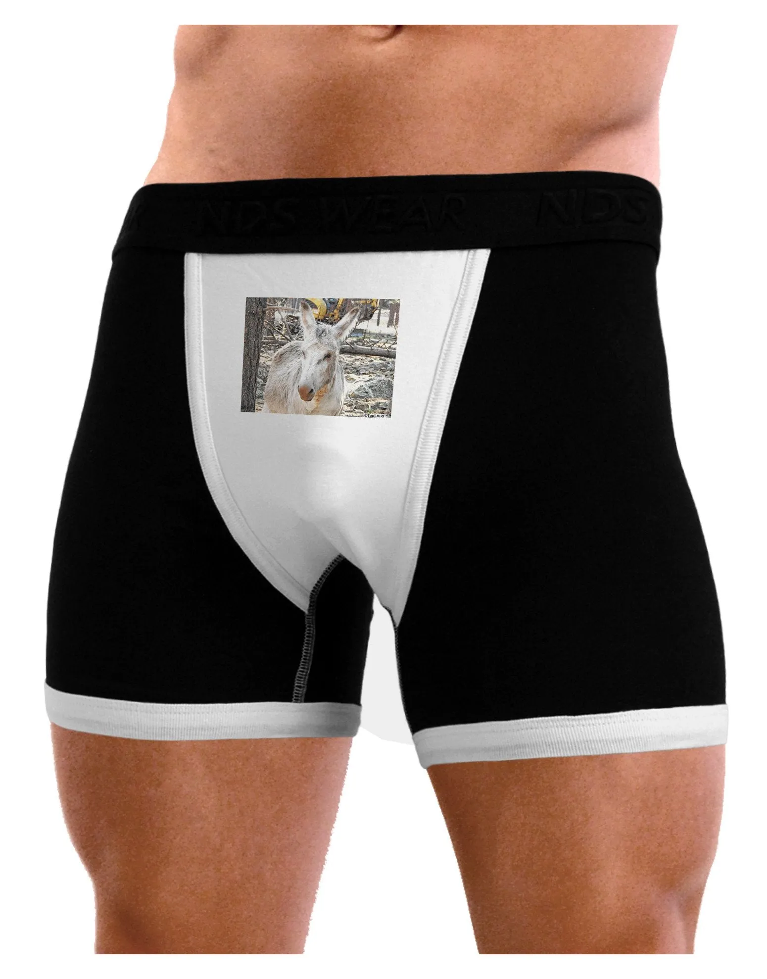 Troubled Burro Mens Boxer Brief Underwear